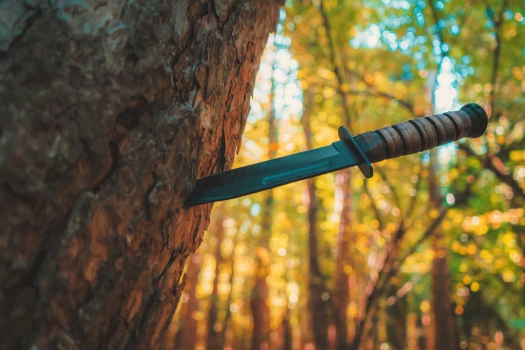 8 Best Survival Knives In 2020 [Review Guide] – Knifedge