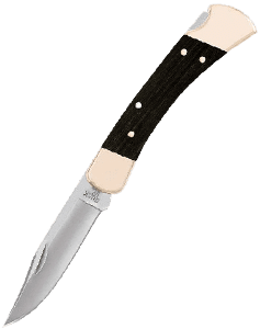Buck Knives 0110BRS 110 Famous Folding Hunter Knife